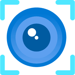Vision AI